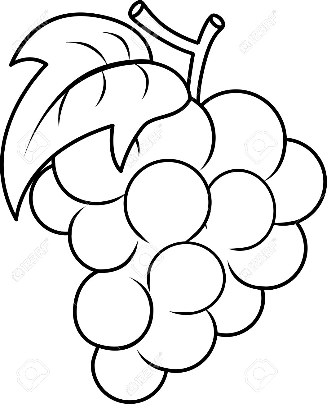 1055x1300 Grape Clipart Outline