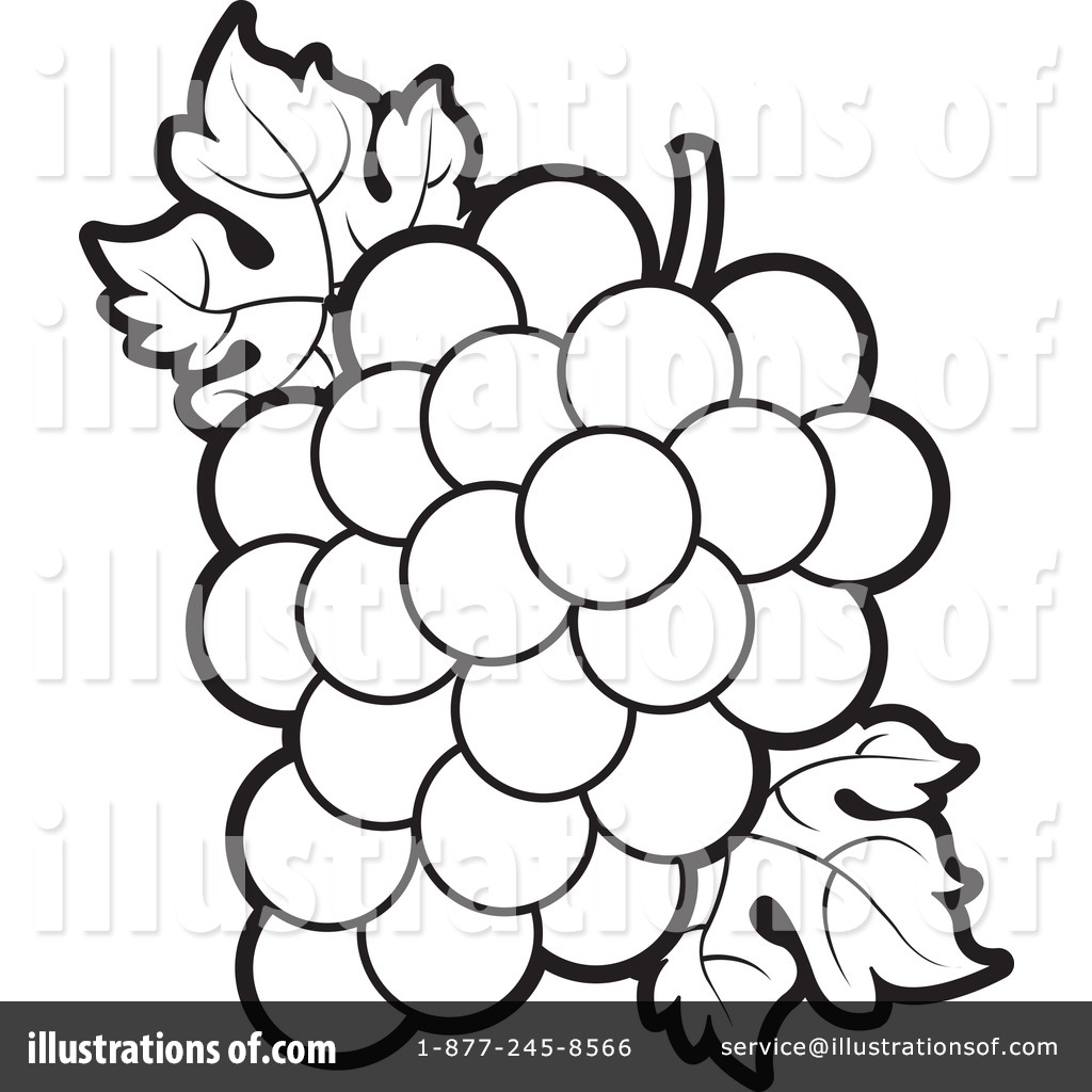 1024x1024 Grapes Clipart
