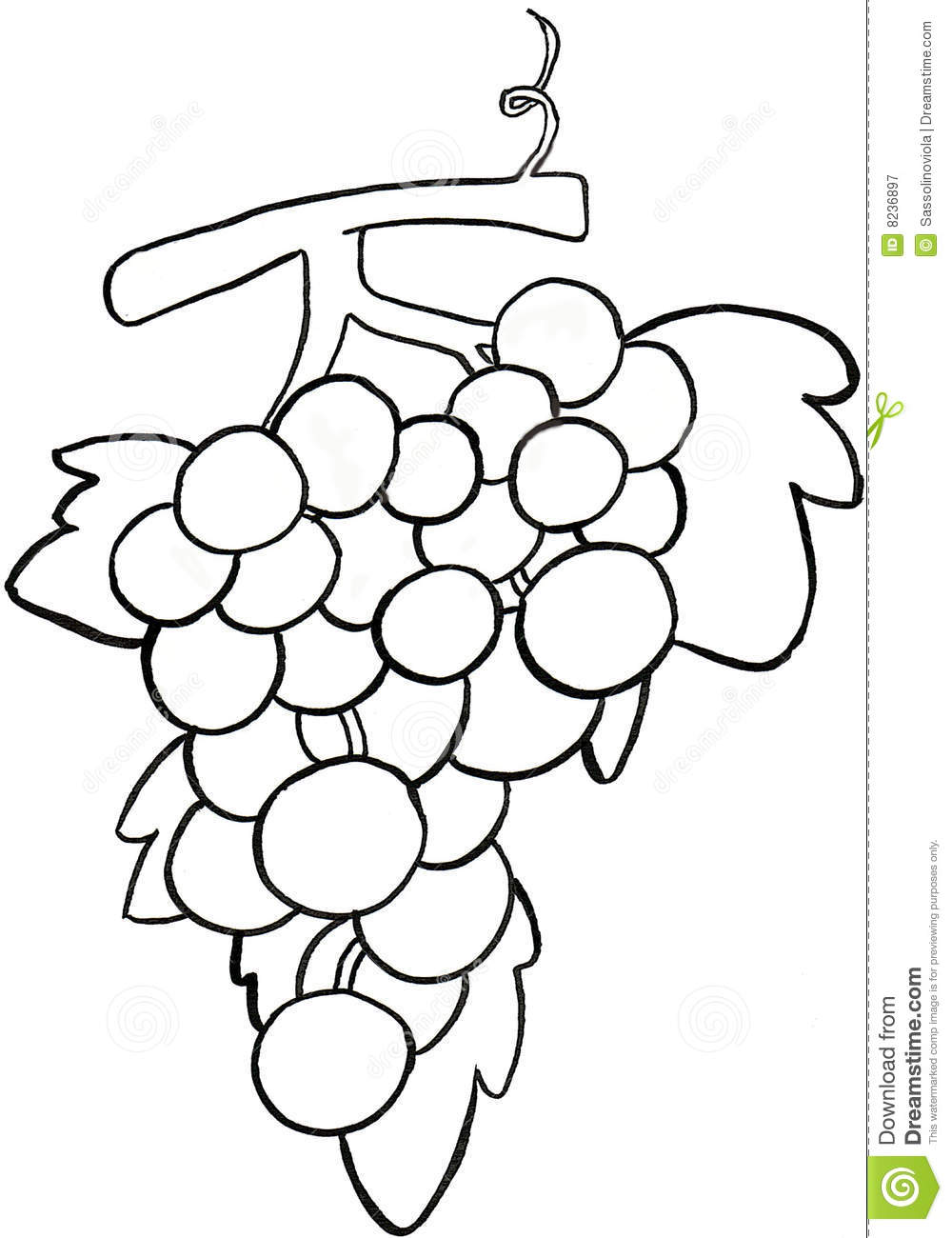 1000x1300 Black And White Grapes Clipart