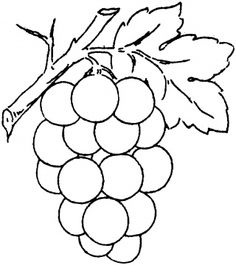 236x265 Grapes Clipart Line Drawing