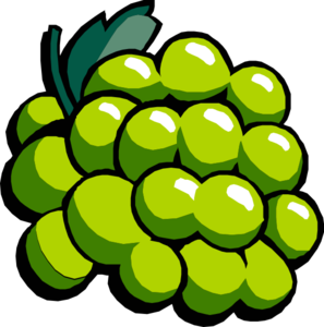 297x300 White Grapes Clip Art