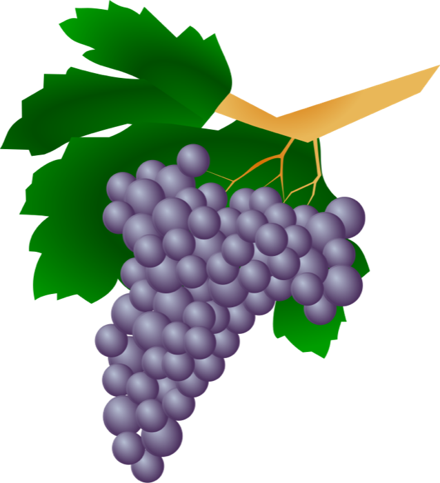 638x700 Wine And Grapes Clipart