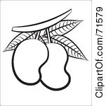 151x150 Mango 20clipart Clipart Panda