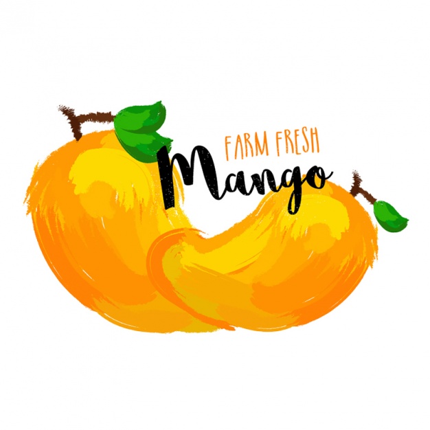 626x626 Mango Vectors, Photos And Psd Files Free Download