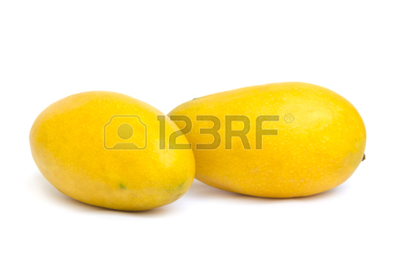 450x298 Two Yellow Ripened Mangoes Isolated On White Background Stock