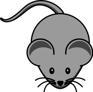 300x296 Simple Mouse Clipart 1921290