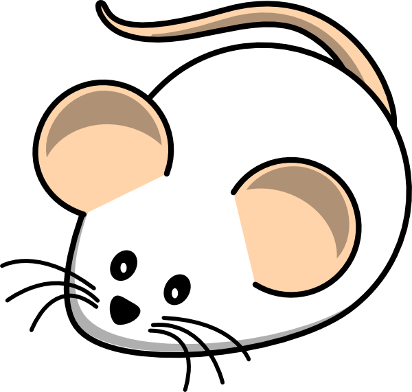 600x571 White Field Mouse Clip Art