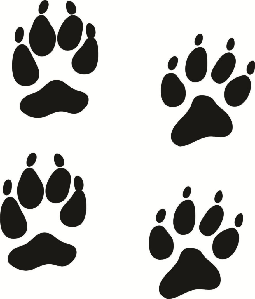 874x1024 Paw Print Clipart Jpeg