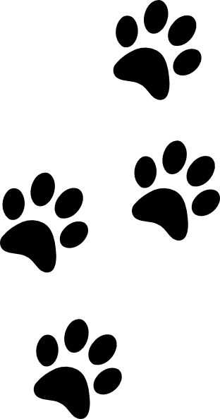 312x594 Top 10 Panther Paw Clipart