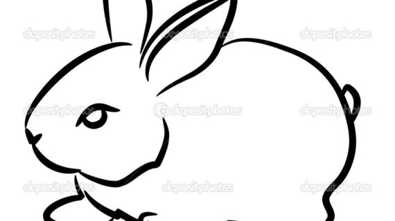 570x320 Black And White Rabbit Drawing Bunny Black And White Easter Bunny