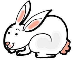 250x211 Top 73 Rabbit Clip Art