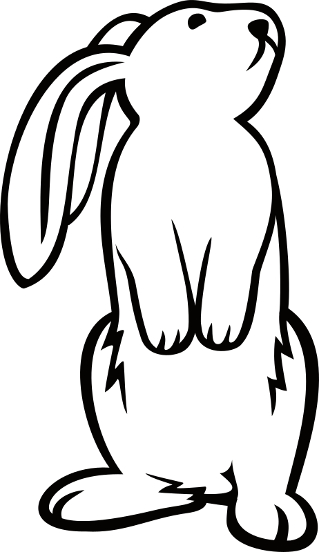 462x800 White Rabbit Clipart Images