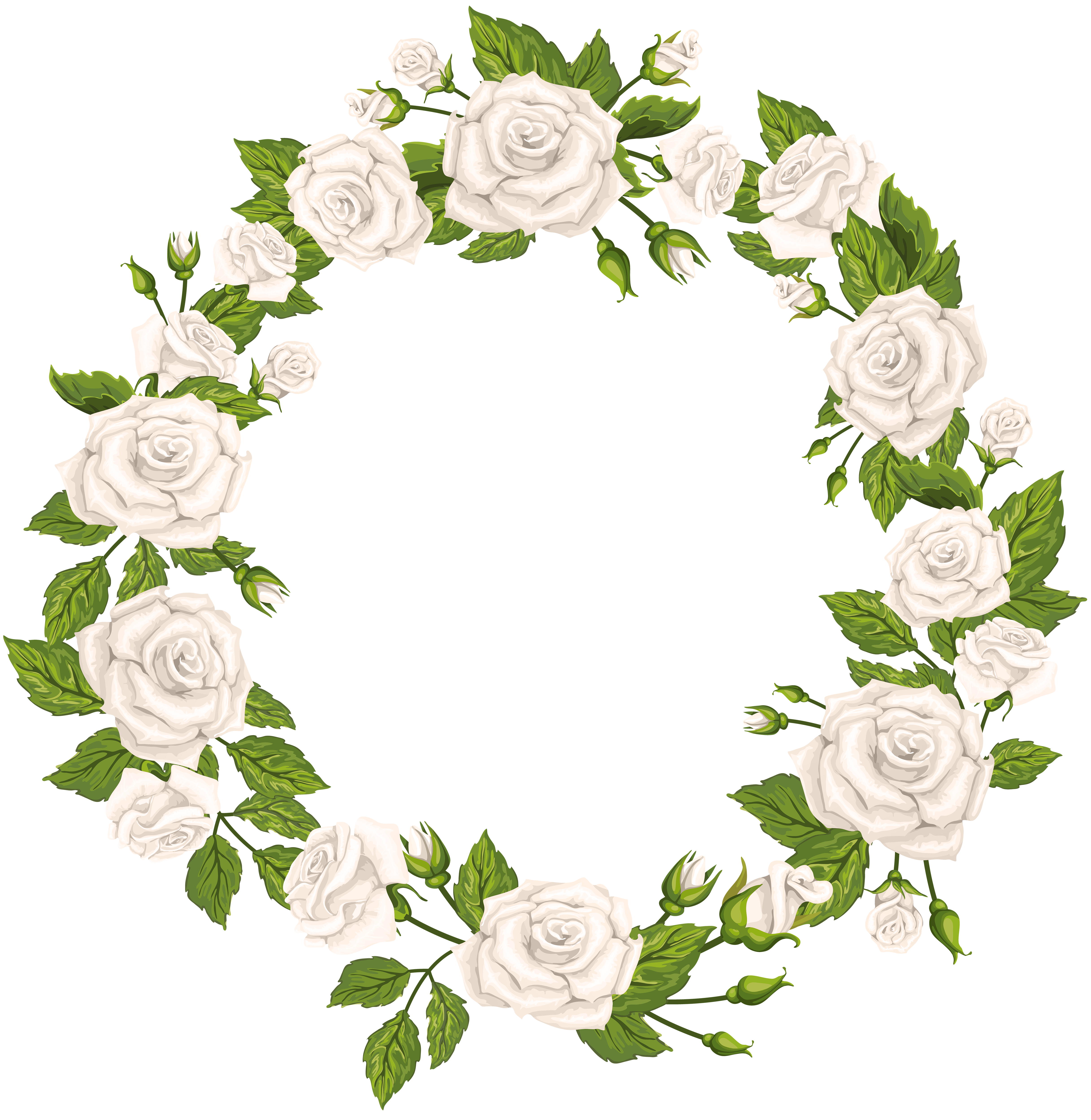 4868x5000 Roses Border White Png Clip Artu200b Gallery Yopriceville
