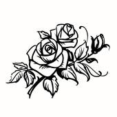 170x170 White Rose Clip Art