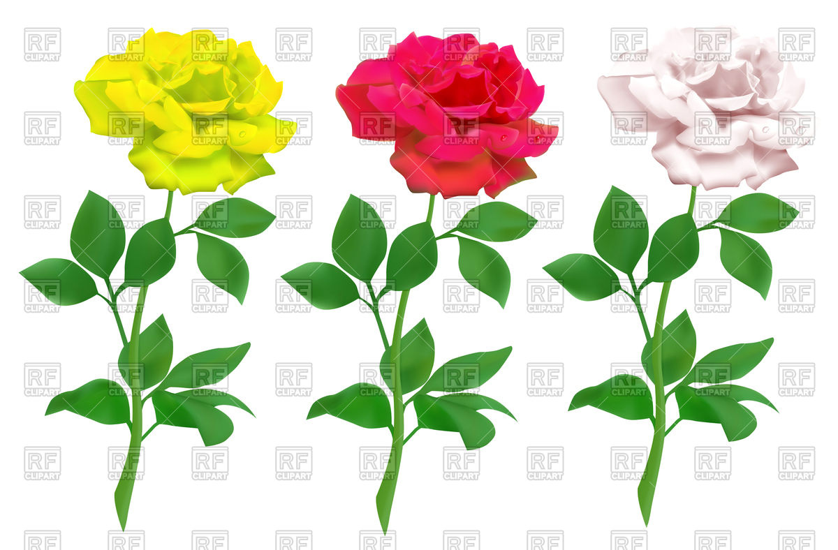 1200x788 Red, Yellow And White Rose Royalty Free Vector Clip Art Image