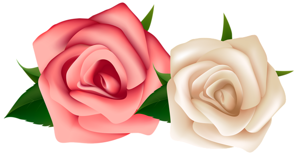 600x317 Red And White Roses Clipart Png Image Clip Art Mix !! 3