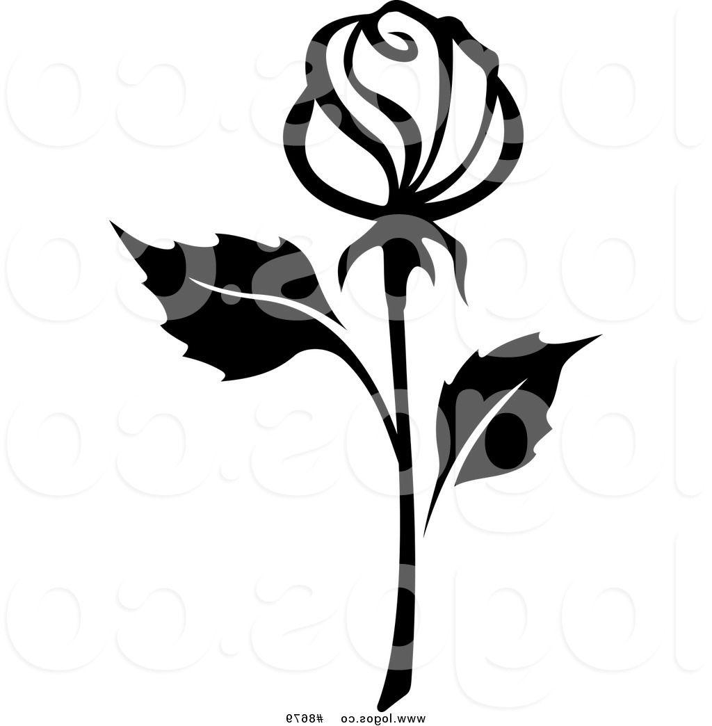 1024x1044 Best Free Ee Clip Art Vector Black And White Rose With Long Stem