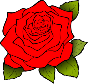 299x285 White Rose Clip Art