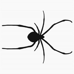 236x236 Black Widow Spider Clip Art Art Graphics
