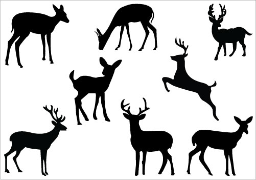 501x351 Silhouette Of Deer Free Download Clip Art Clipart