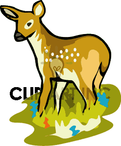 247x300 Top 71 Whitetail Deer Clipart