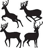 152x170 White Tailed Deer Clip Art