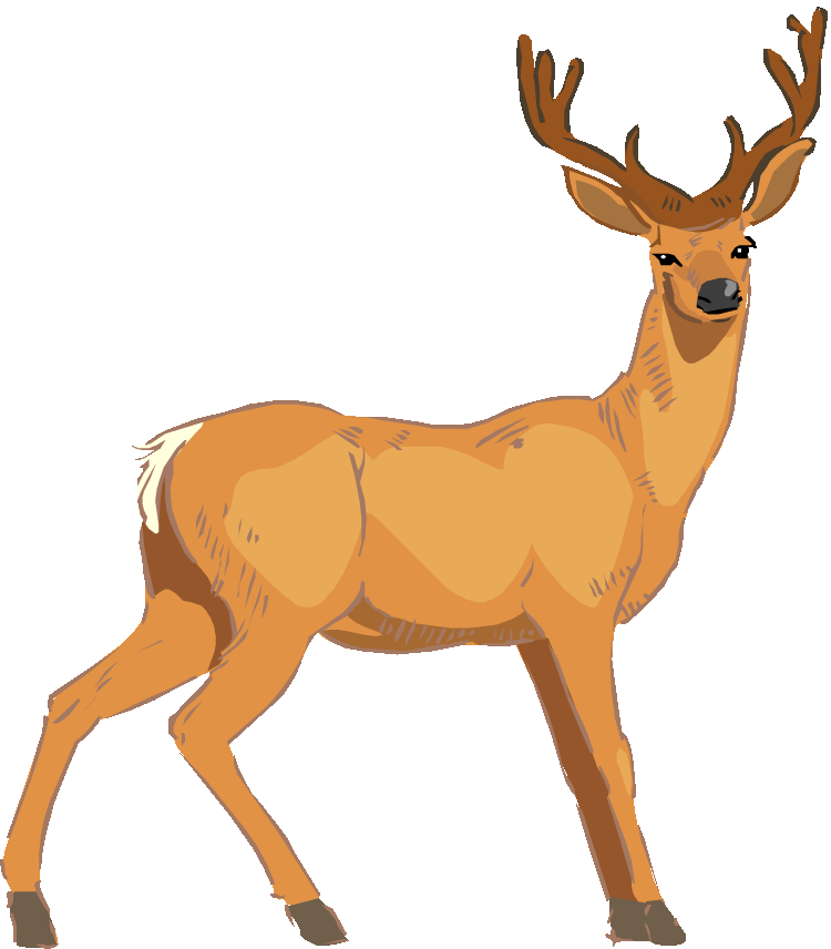 750x856 White Tailed Deer Clipart Vector
