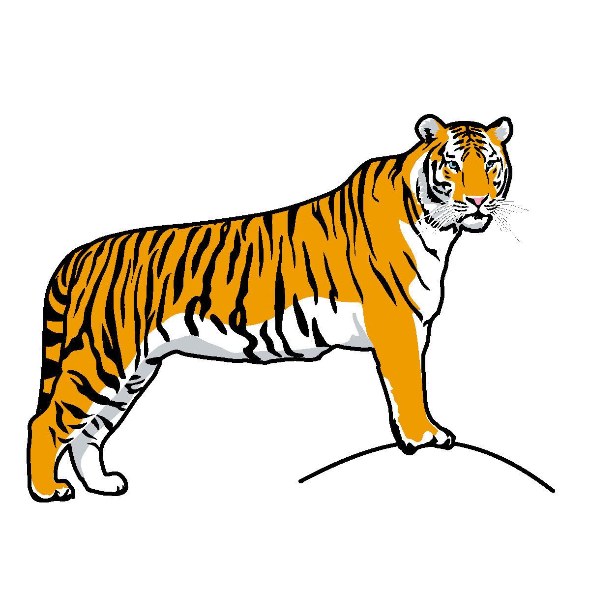 1200x1200 Tiger Clip Art Free Clipart Images 2