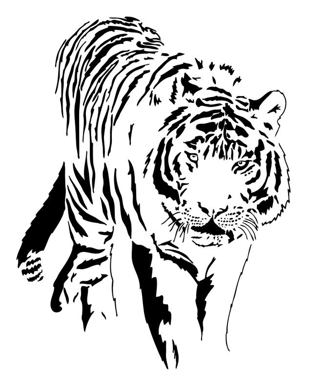 637x800 White Tiger Clip Art
