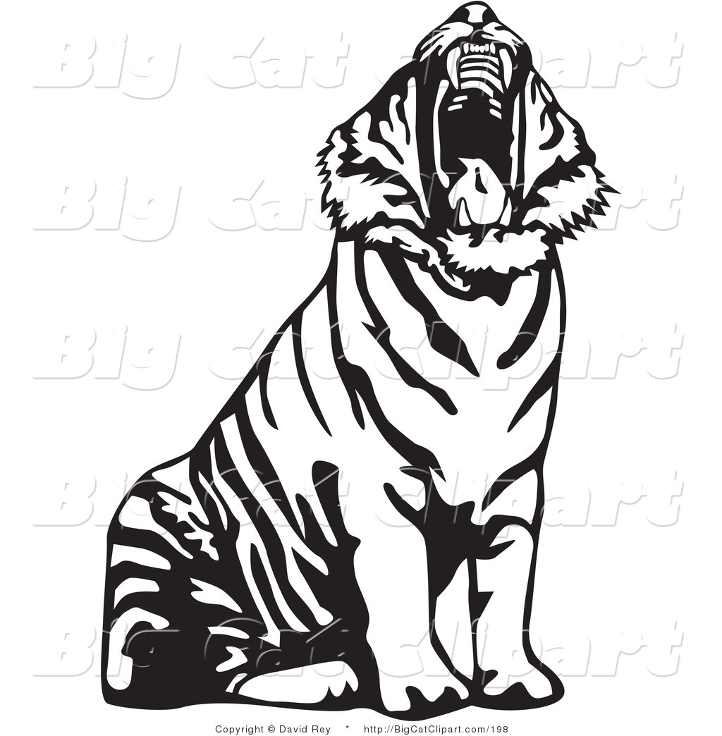 1024x1044 White Tiger Clipart Roar
