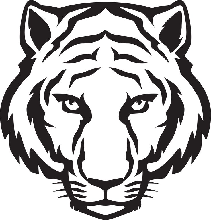 736x765 White Tiger Clipart Sketch