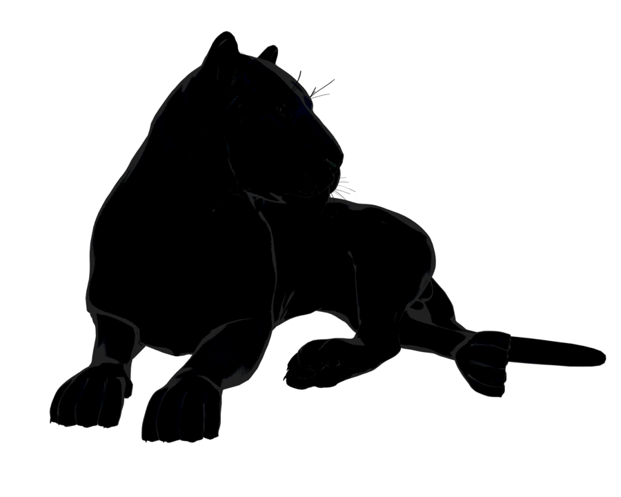 900x720 Tiger Or Big Black Cat Pose 47 By Madetobeunique