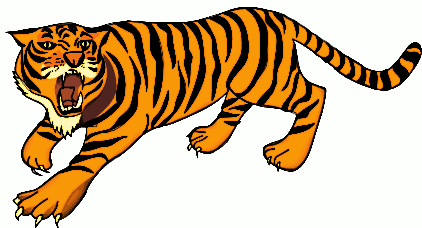422x228 White Tiger Clipart Endangered Animal