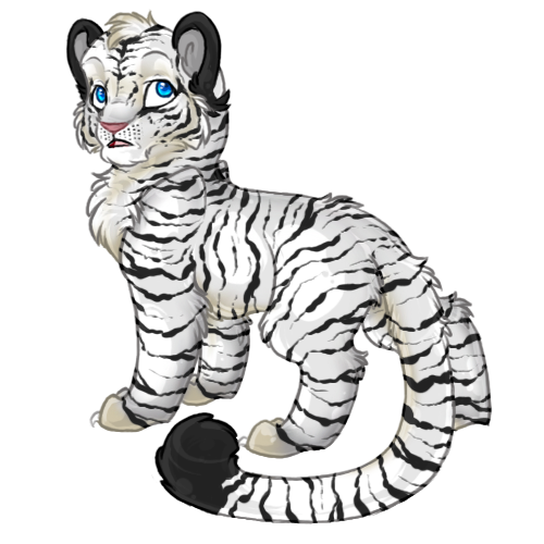 500x500 White Tiger Clipart Three