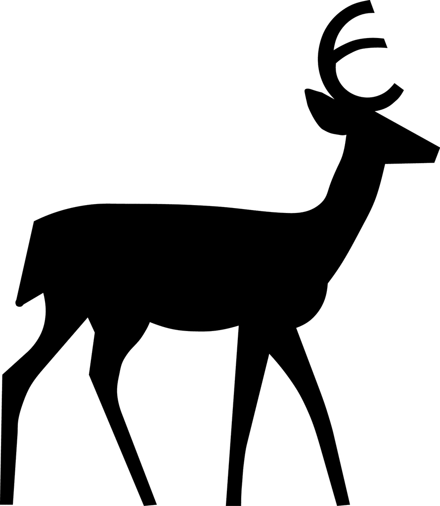 890x1024 White Tailed Deer Clipart Simple