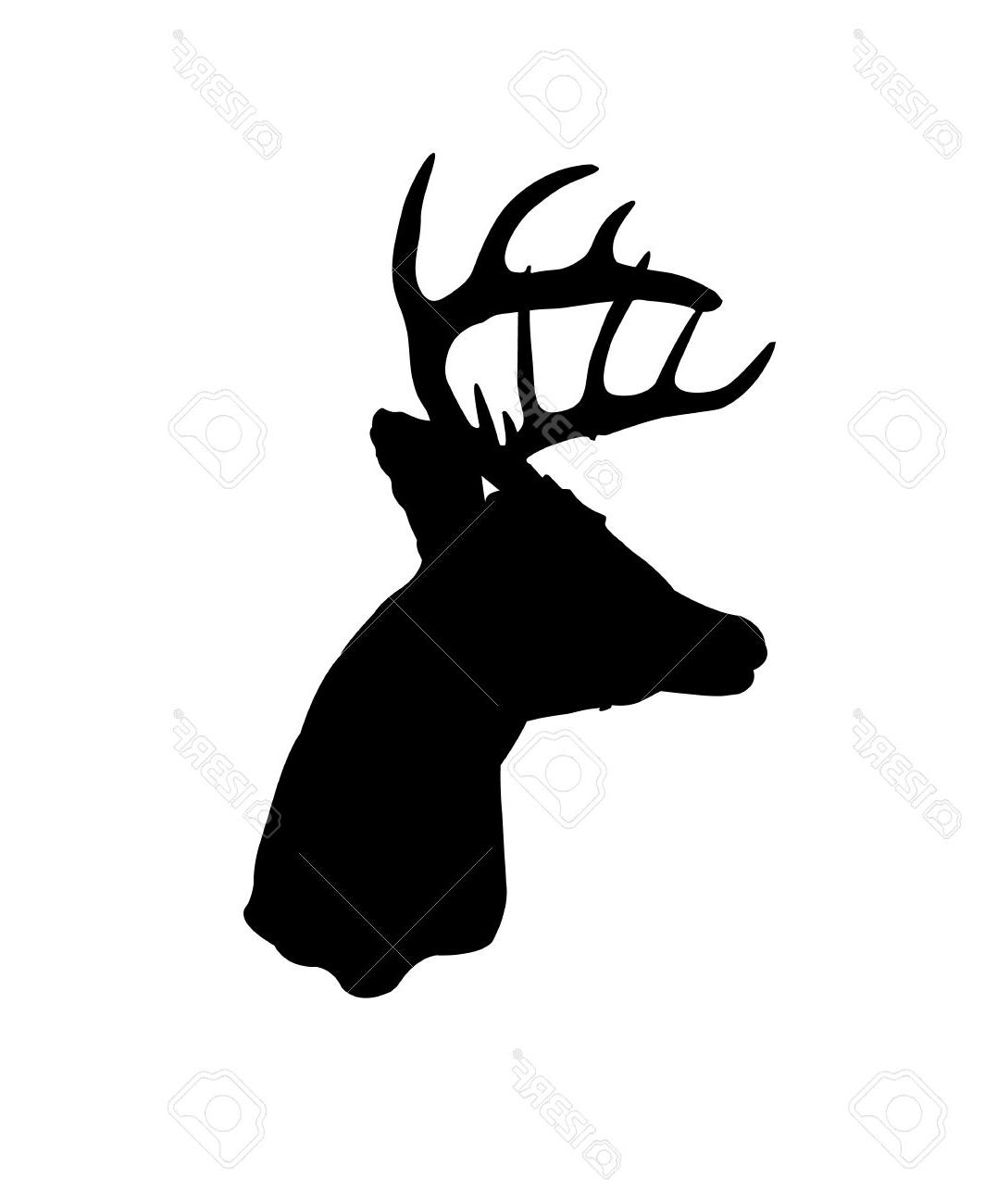 1077x1300 Best Hd Black Silhouette Of Whitetail Deer Clip Art Stock Vector