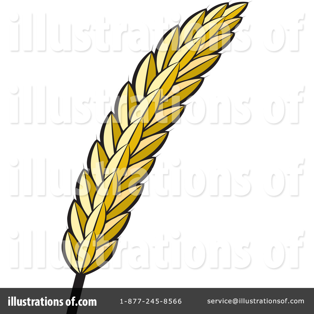 1024x1024 Wheat Clipart