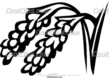 375x269 Wild Rice Clip Art