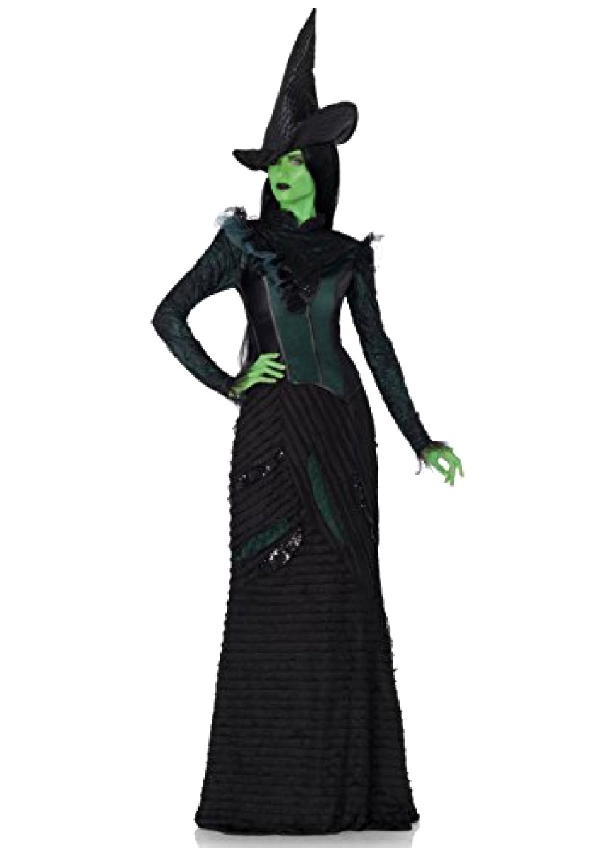 847x1200 Wicked Witch Of The West Deluxe Elphaba Costume For Women Ebay