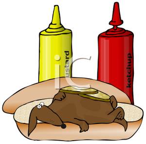 300x295 Art Image A Wiener Dog On A Hot Dog Bun