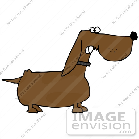 450x450 Clip Art Graphic Of A Little Dachshund Dog Growling While Guarding