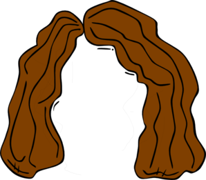 298x261 Brown Wig Clip Art