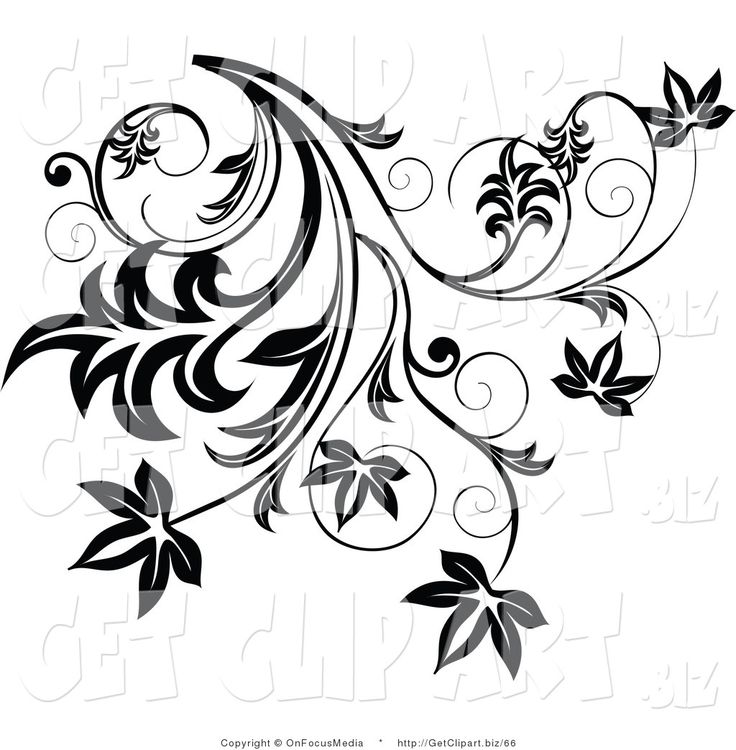 736x750 55 Best Filligree Images Calligraphy, Clip Art