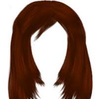 200x200 Brown Hair Clipart
