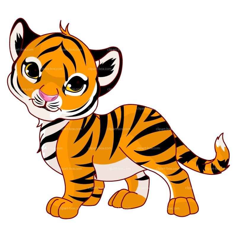 800x800 Top 85 Tiger Clipart