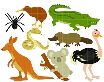340x270 Australian Fauna Clipart