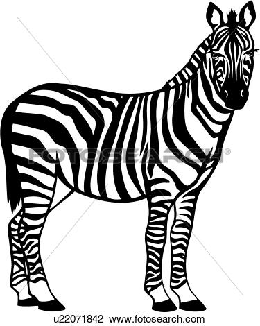 375x470 Zebra Clipart Wild Animal
