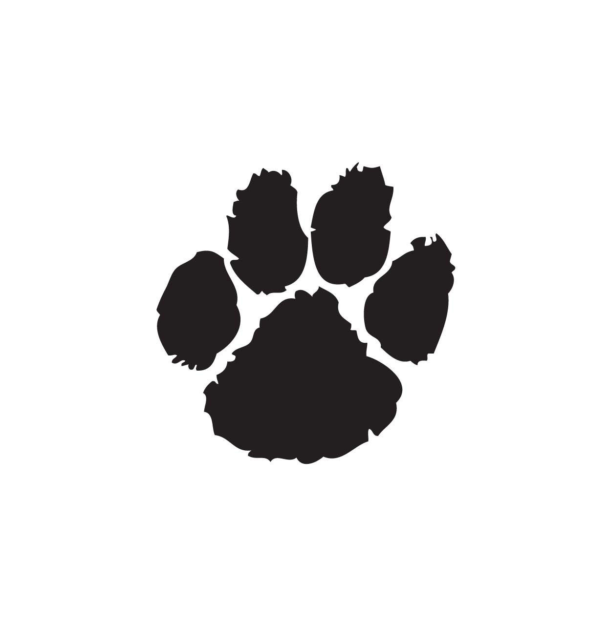 1246x1282 Wildcat Clipart Paw Print