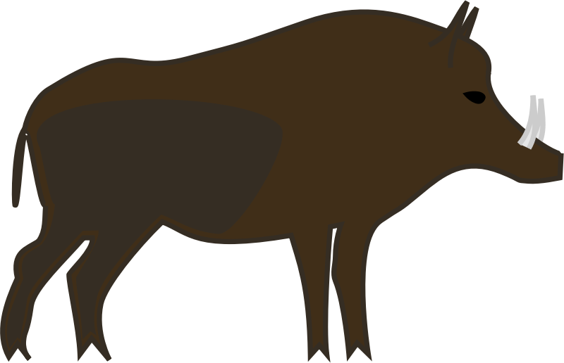800x516 Free Simple Wild Boar Clipart