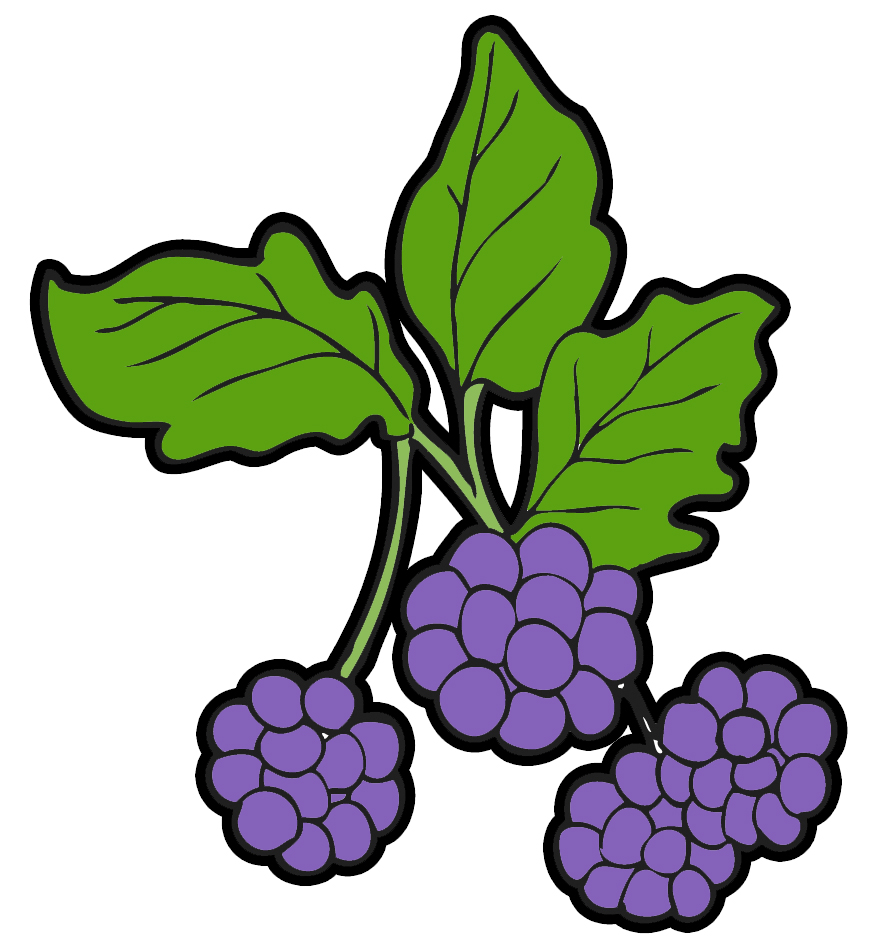 872x946 Blackberry Clipart Wild Berries